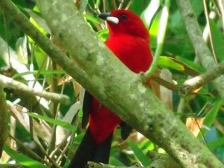 Rio de Janeiro, Brasil