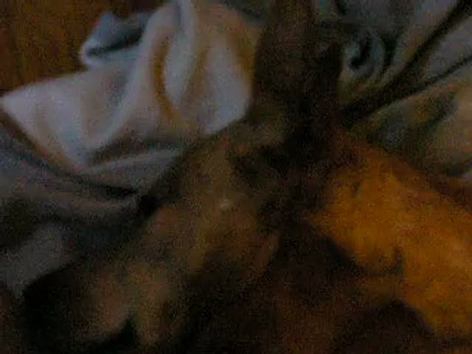 zues hard day