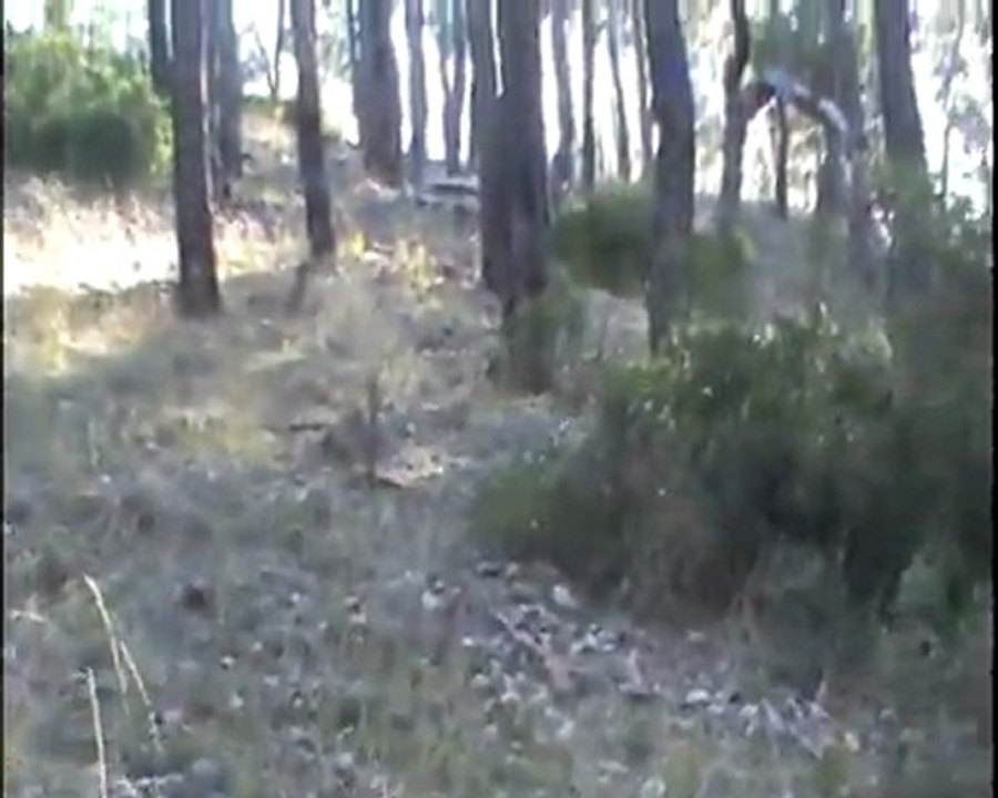 AS & ŞİLA BABALI KIZLI FERMA -2