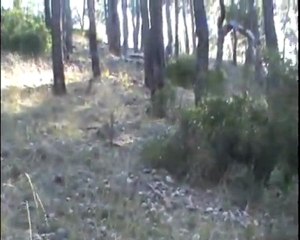 AS & ŞİLA BABALI KIZLI FERMA -2