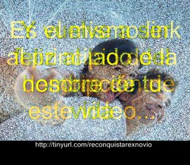 (como reconquistar a mi exnovio)