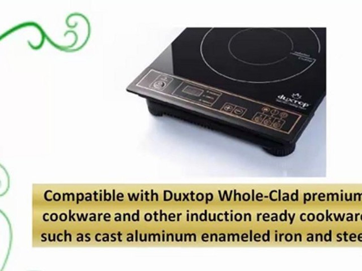 Best Buy Induction Cooker Duxtop 1800 Watt Portable Countertop