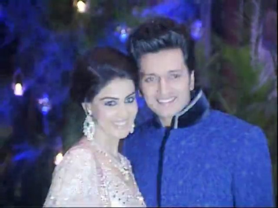 Bollywood Celebs Shine At Ritesh Deshmukh - Genelia D' Souza's Sangeet