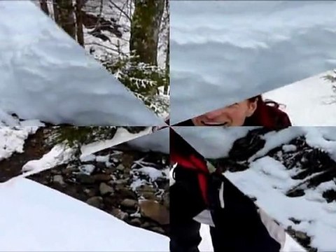 Raquettes Borne au lion