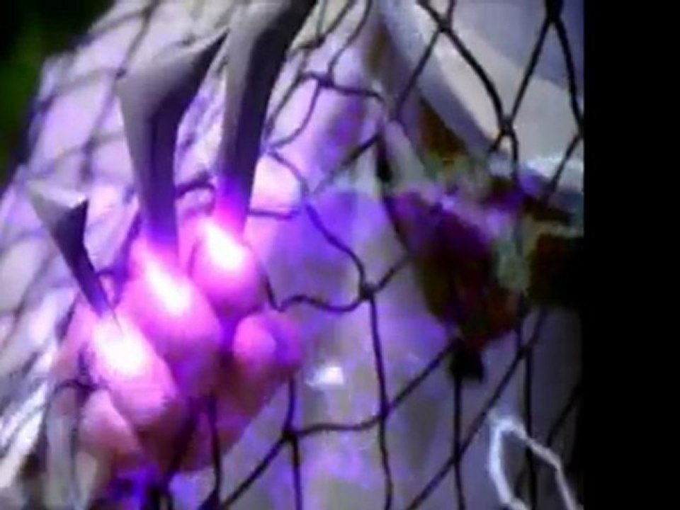 Shaquille O'Neal - You Can't Stop The Reign [1996] DVD-Rip