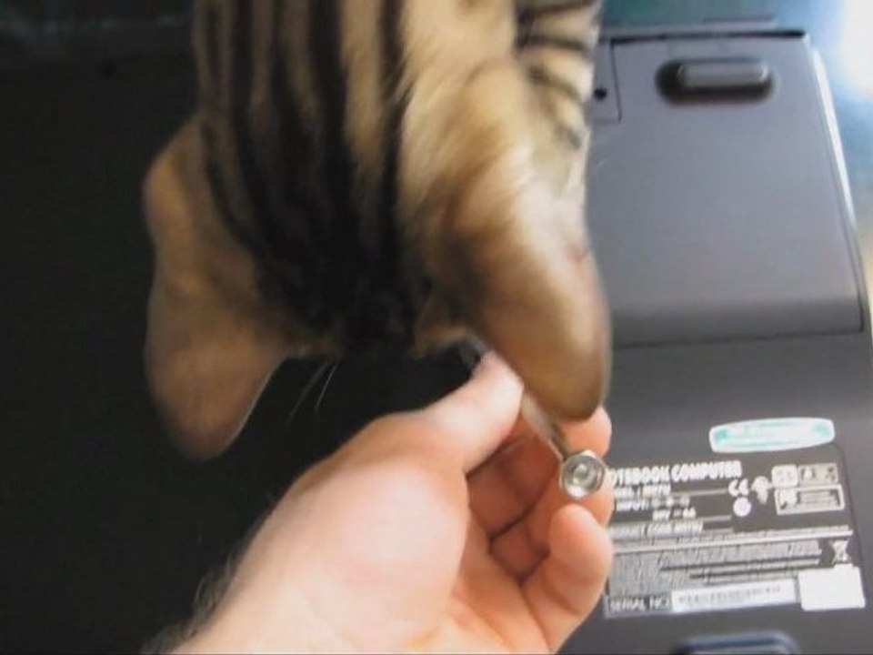 Kingston SSDNow V Series Notebook Upgrade Kit & Installation Guide Linus Tech Tips