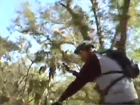 Wade Cox’s Simple Fitness Secret