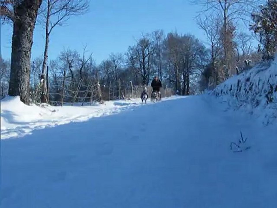 1er au traineau 4/4