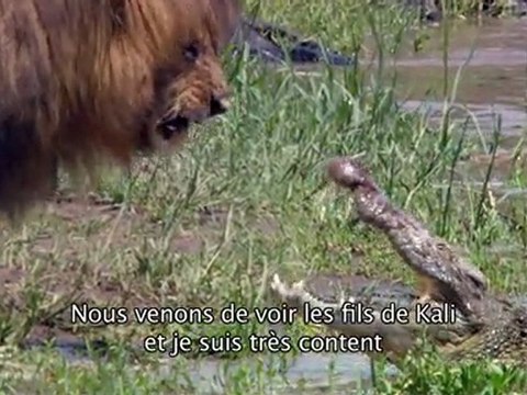 Félins : Pascal Elbé sur les traces de Félins - épisode 3