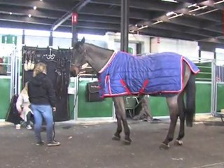 J-1 : Tout le monde se prépare