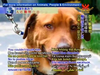 APe Action: Caring for Animals, People, and the Environment