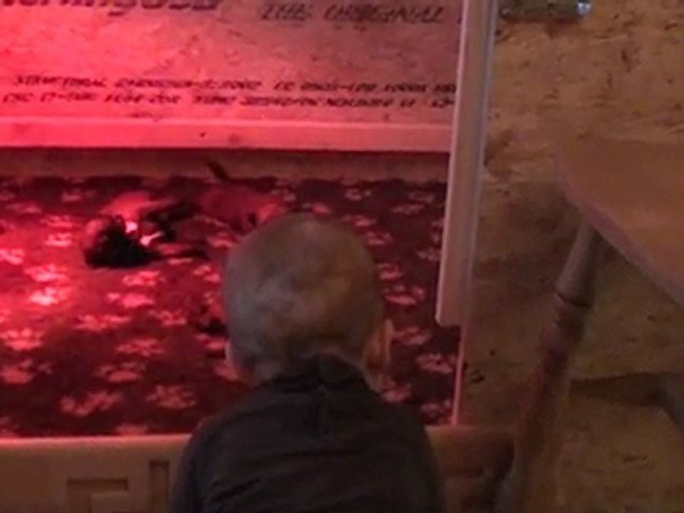 20120124094908