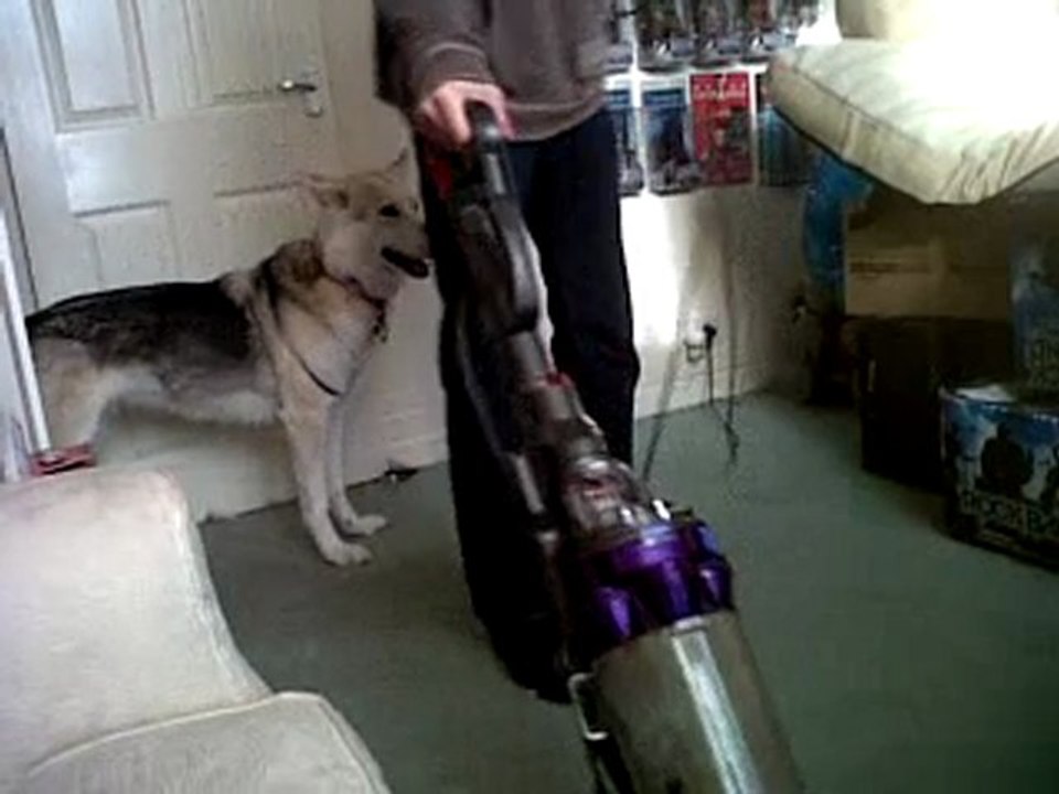Freya dislikes Dysons