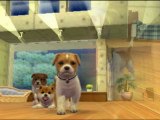 ma nouvelle diapo de nintendogs+cats :3