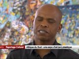 Afrique du Sud, une expo d'art (en) plastique