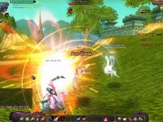 Dragon Soul [MMORPG TEST]