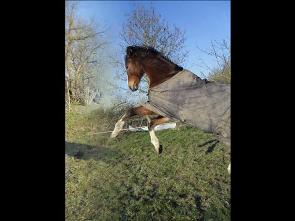 02 02 12 SEANCE PHOTO