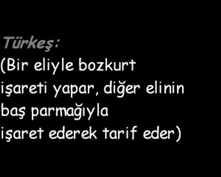 Ülkücü İşaretinin Anlamı.