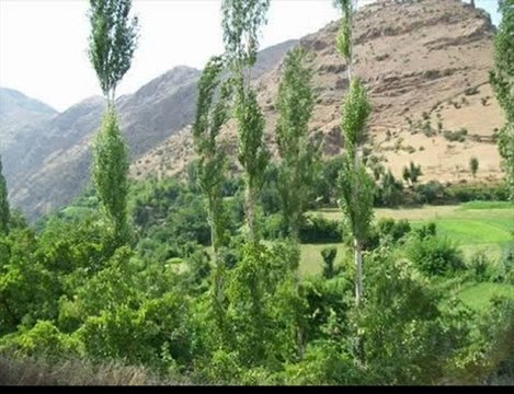 siirt pervari beğendik köyü