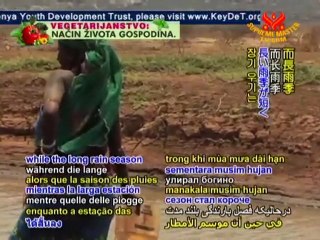 Kenya: Experiencing an Acute Crisis Due to Global Warming