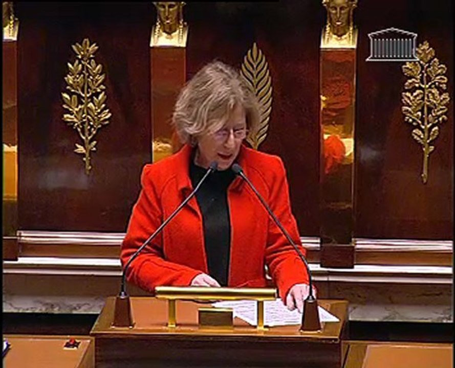 Questions au Gouvernement de Geneviève Fioraso : Mise en oeuvre du principe de précaution