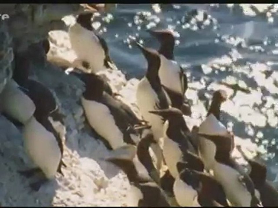 De la Lituanie au Danemark (La mer Baltique)