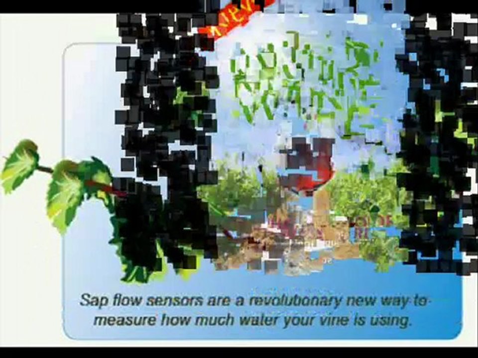NutriWine - Wellbeing - Health - Climate Change