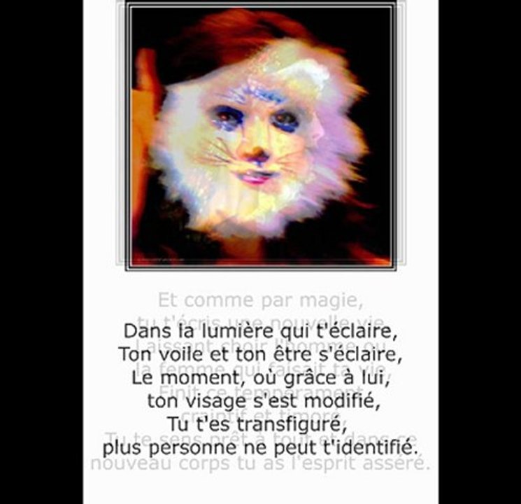 ©DIAPORAMA SOIREE DE MASQUES -CANCELLI 2006 POEME THOMAS ANDRE PHOTOS&PHOTOS-PEINTURES MARTINE ANCIAUX© TELE