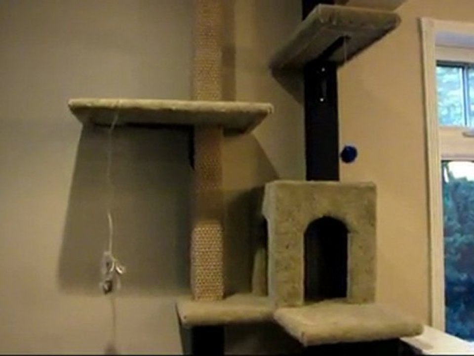 IT'S FINALLY DONE - My Weekend Project - Building a Cat Tree - Part 7 Linus Tech Tips