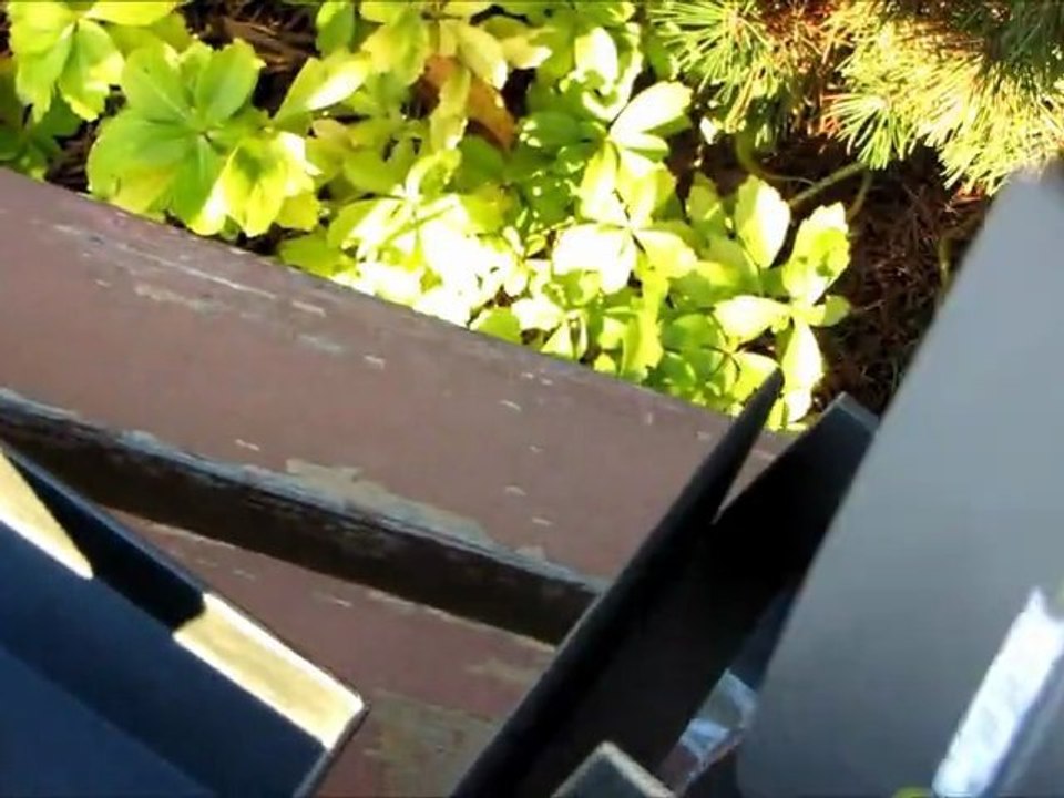 Mionix NAOS 3200 Ergonomic Optical Gaming Mouse Unboxing & First Look Linus Tech Tips