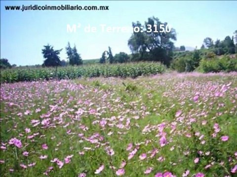 Excelente terreno en San Mateo Tezoquipan, Miraflores, Chalco, Mexico.