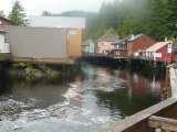 CRUISE (KETCHIKAN)-2010 012