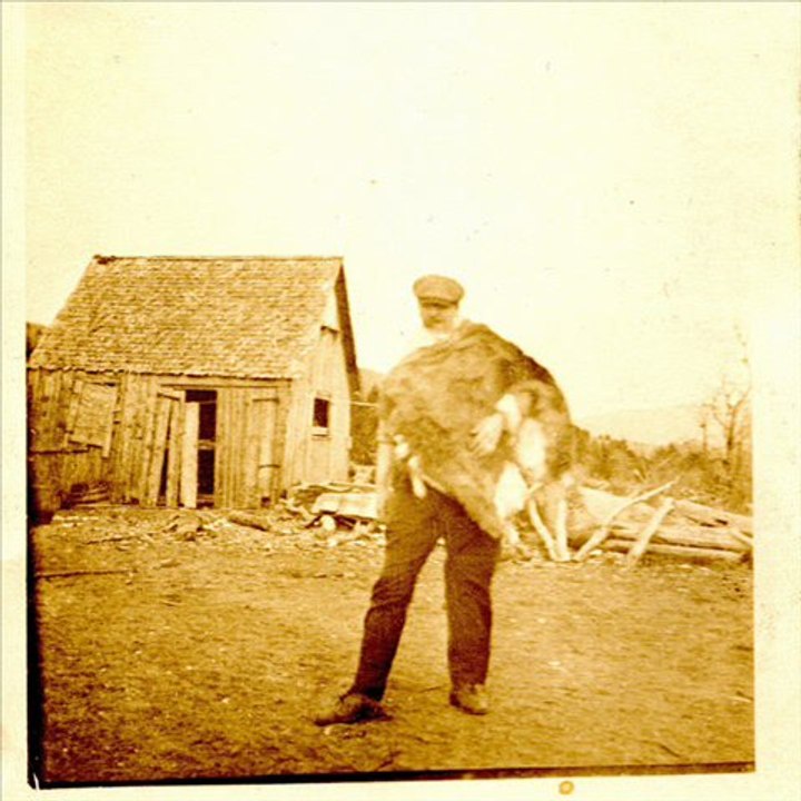 Slingshot Cash - Jericho Surrenders