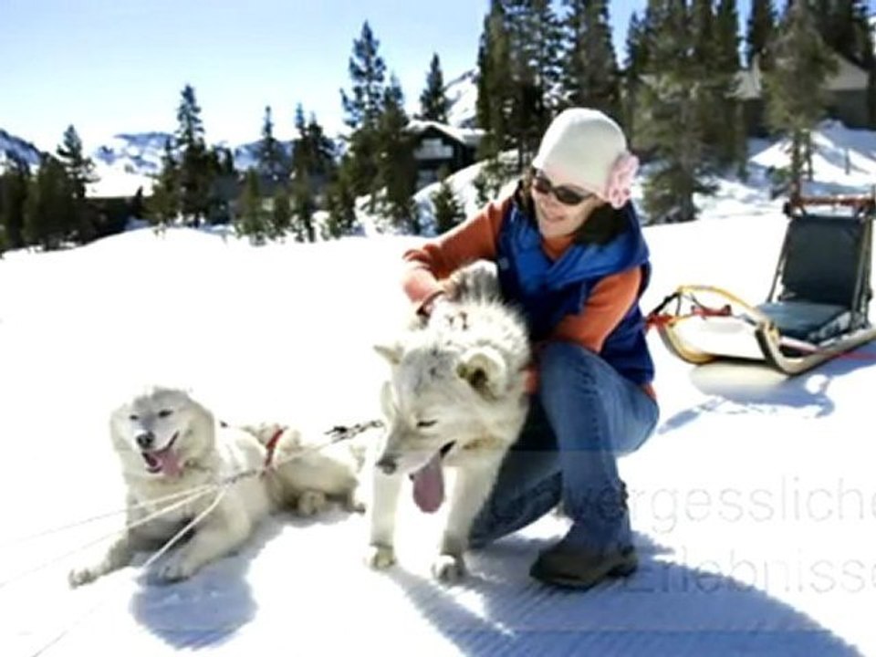 Schlittenhunde Spiegelau Siberians of Mount Rachel