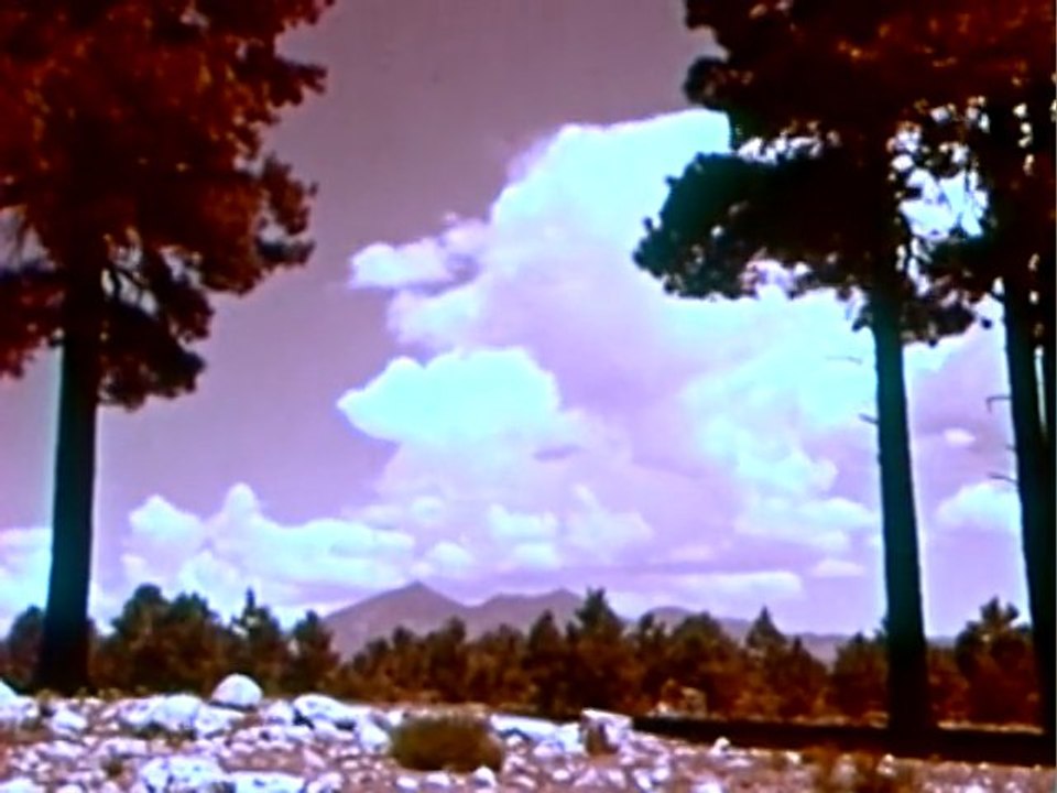 Dtwice - Cover - LCD Soundsystem "Tribulations"