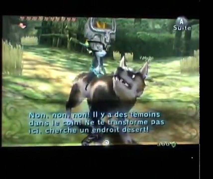 Twilight Princess [50] : Les statues de hiboux