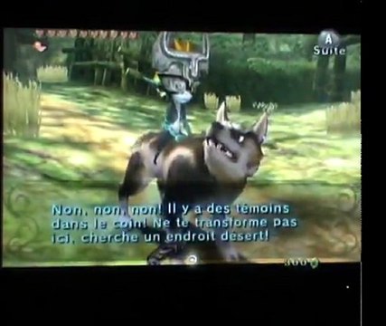 Twilight Princess [50] : Les statues de hiboux
