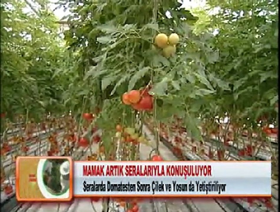 MAMAK ARTIK SERALARIYLA KONUŞULUYOR 30.01.2012