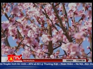 Thời tiết thay đổi tại nhiều nơi trên thế giới