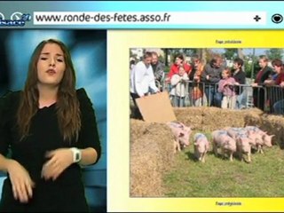 Alsace 2.0 : Les bons plans du net en Alsace (01/02)