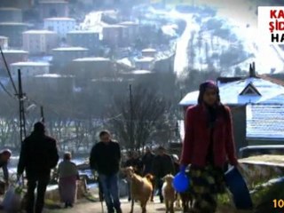 Umut, Gerçekleri Öğrenmek İçin Kars'a Gidiyor