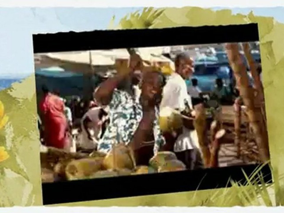 Highlights Jamaica v Windward Islands 3-5th Feb  - ...