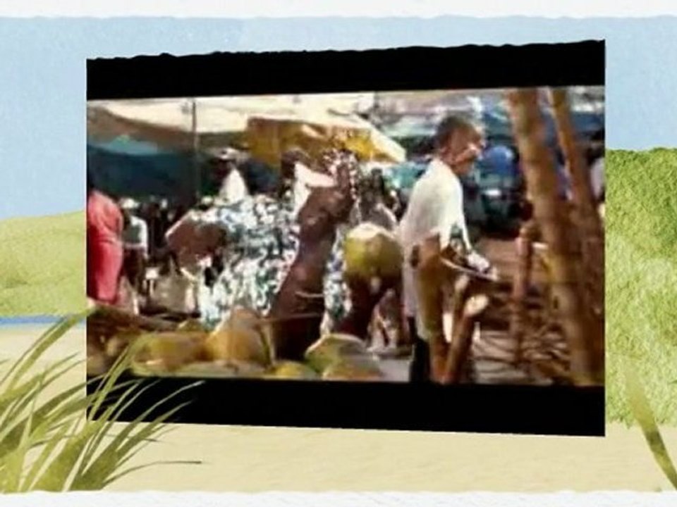 Watch Windward Islands v Jamaica (4-Day-Match)  - ...