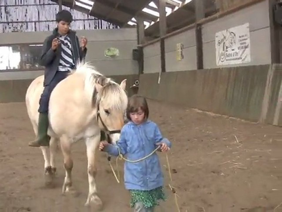 A cheval sans parole - Daniel Beniero