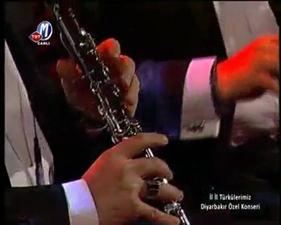 Şeyhmus Esenkuş - Bahçada Yeşil Çınar