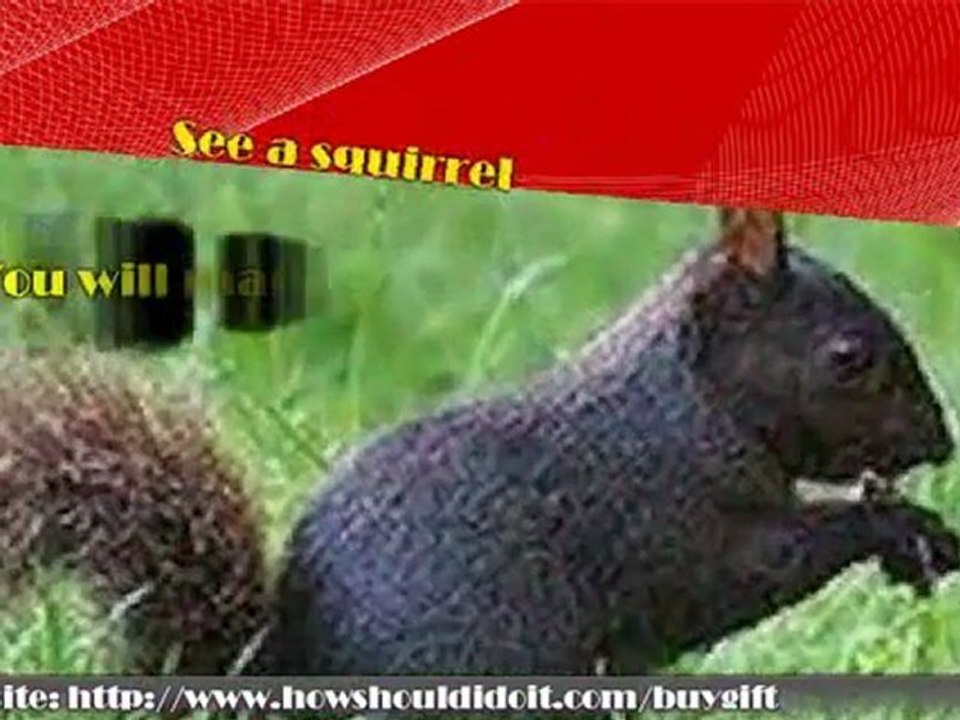 Valentine's Day Superstitions