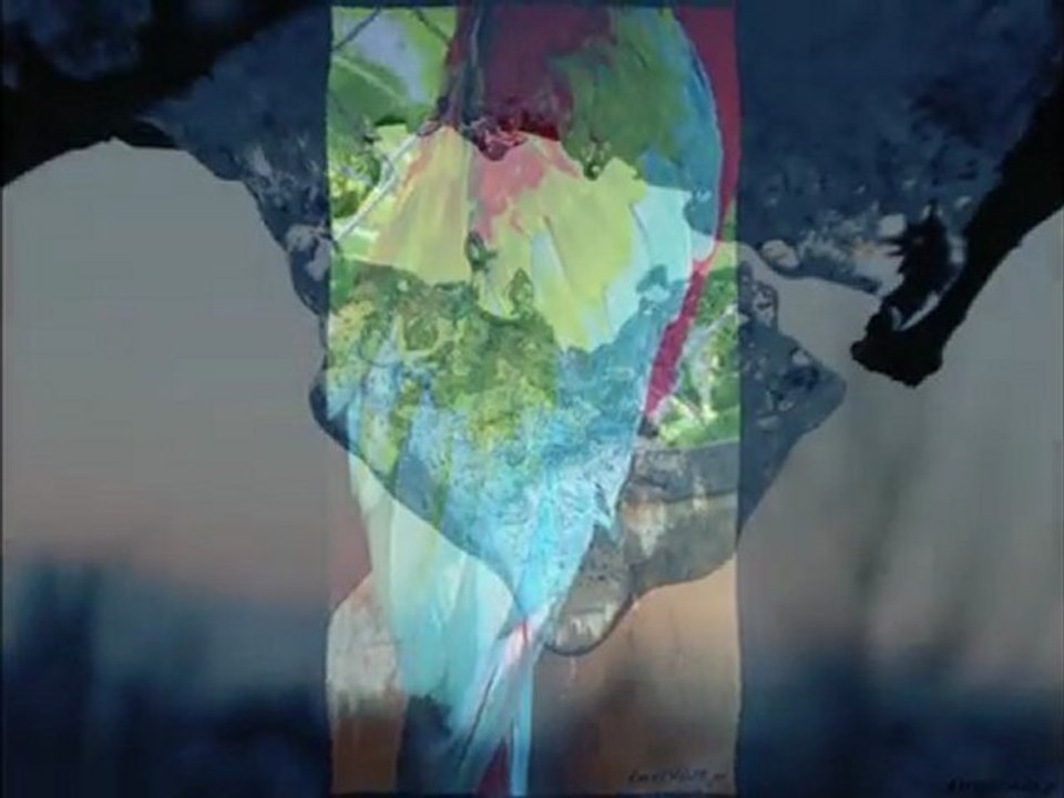 DES AILES CHANSON