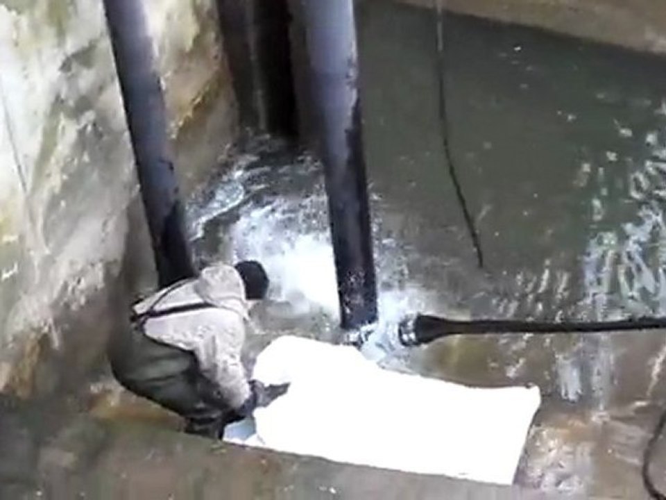 Sauvetage Silure Clairac, le plus gros 2m20, 01/02/2012