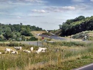 24 juin : Visite en bus du pôle métropolitain