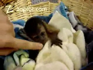 kadinforum.net, Kadın, kadınca